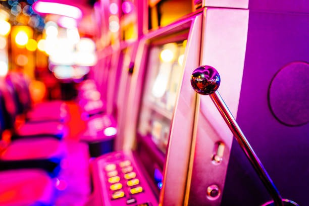 evo77 Markets and Odds
